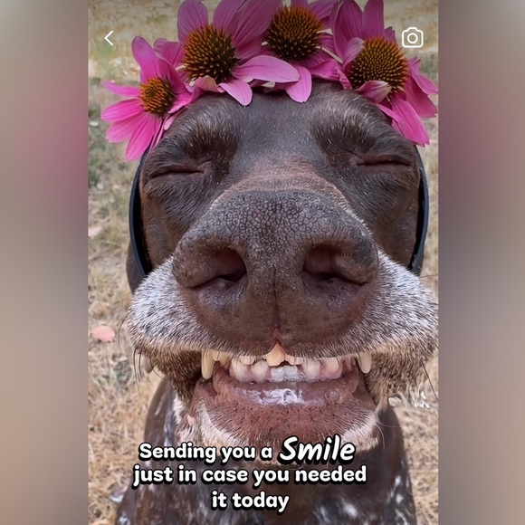 Meet your Posher, Kathryn - Picture 10 of 10